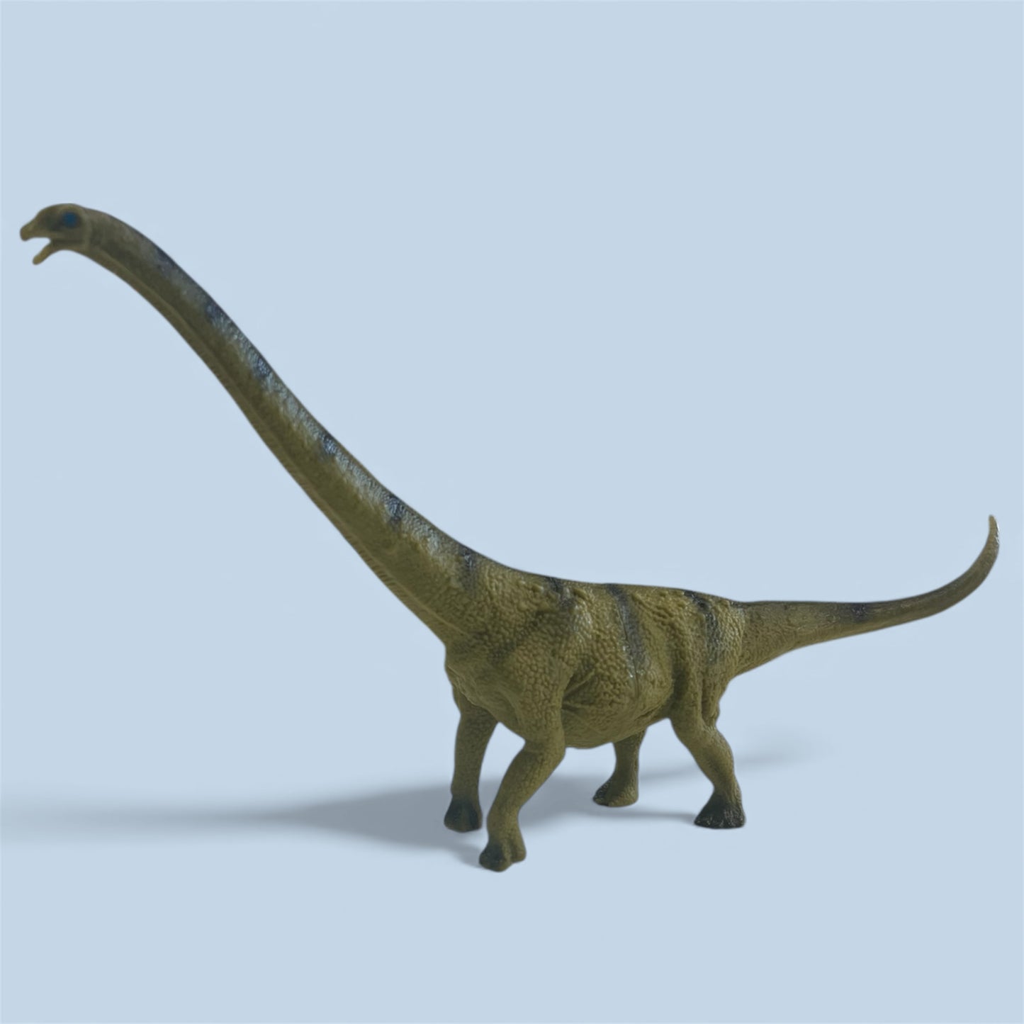 Set of 6 Assorted Dinosaurs